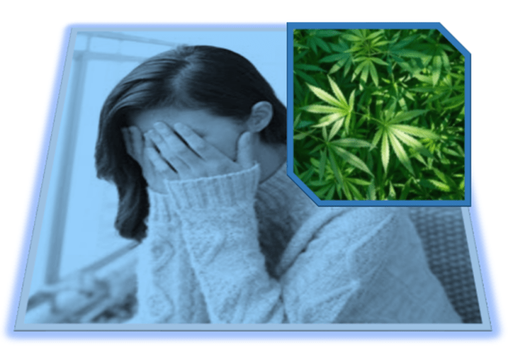 Cannabinoids: Depression &&nbsp;Inflammation