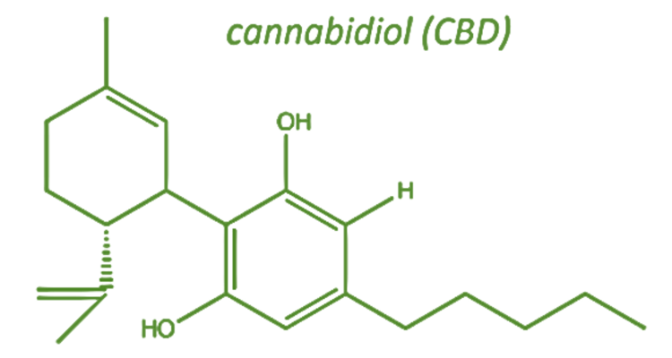 CBD: Precautions & Drug&nbsp;Interactions