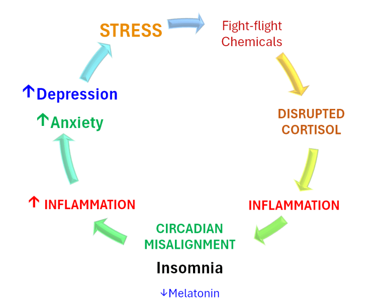 INSOMNIA’S UNBIDDEN BEDFELLOWS: Breaking the Vicious Cycle of Insomnia, Anxiety &&nbsp;Depression