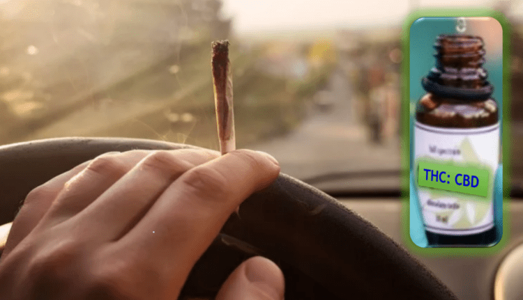 Precautions & Adverse Effects of&nbsp;Cannabinoids