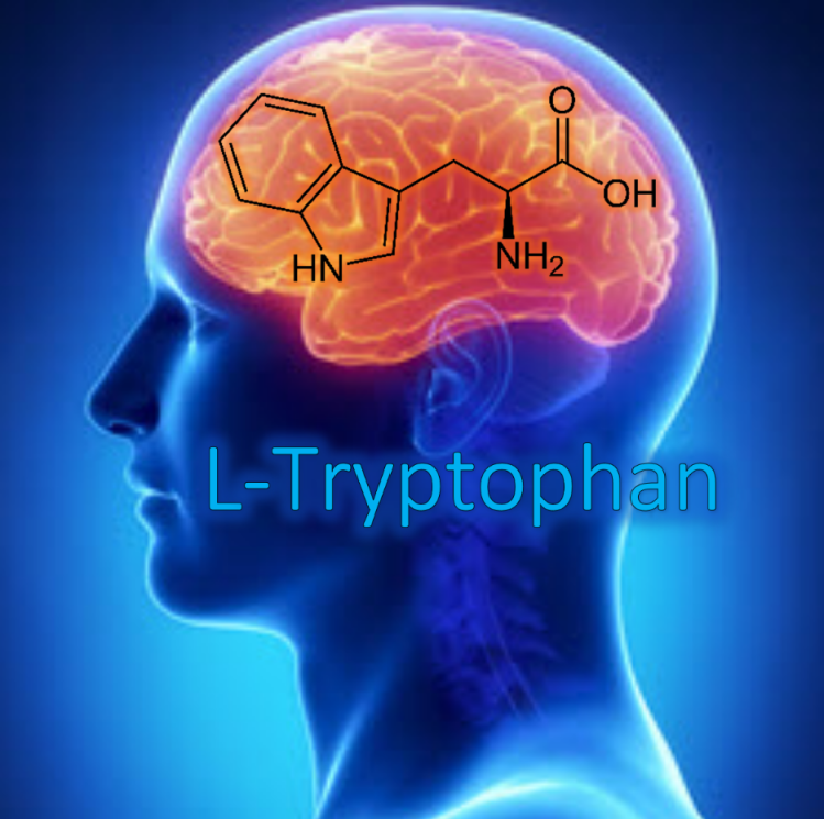 Tryptophan for Sleep: Not as Simple as Popping a&nbsp;Pill