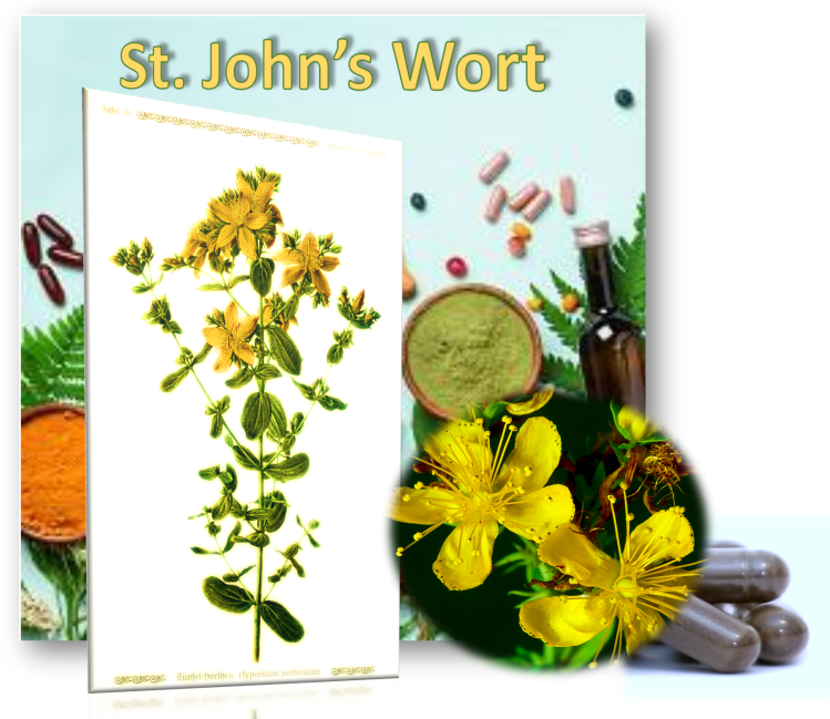 Depression, Anxiety & Insomnia: Is St. John’s Wort&nbsp;Effective?