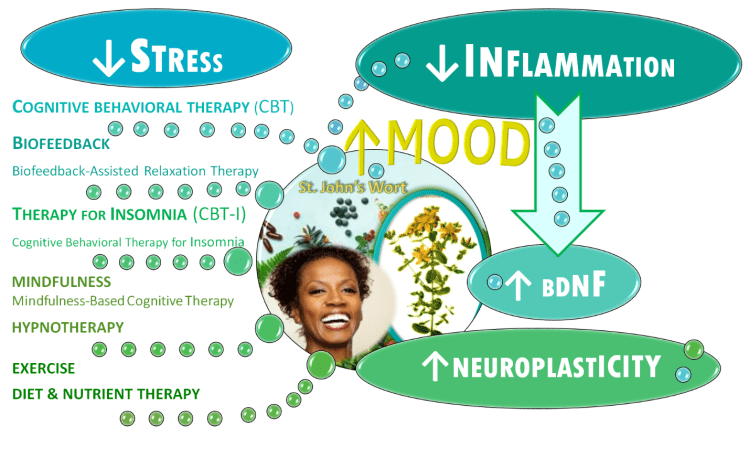 St. John’s Wort: Getting its Benefits without the&nbsp;Drawbacks
